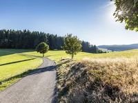 Mit freundlicher Genehmigung der Hotzenwald Tourismus GmbH Mit freundlicher Genehmigung der Hotzenwald Tourismus GmbH
