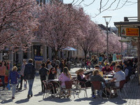 (Bildnachweis: ©schulte-kellinghaus) (Bildnachweis: ©schulte-kellinghaus)