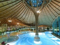 Solemar (Bildnachweis: Mit freundlicher Genehmigung der Stadt Bad Dürrheim) Solemar (Bildnachweis: Mit freundlicher Genehmigung der Stadt Bad Dürrheim)