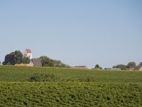 (Bildnachweis: Gemeinde Buggingen) (Bildnachweis: Gemeinde Buggingen)