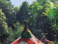 (Bildnachweis: Mit freundlicher Genehmigung der Kur und Bäder GmbH Bad Krozingen) (Bildnachweis: Mit freundlicher Genehmigung der Kur und Bäder GmbH Bad Krozingen)