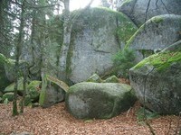 (Bildnachweis: Stadt Furtwangen im Schwarzwald) (Bildnachweis: Stadt Furtwangen im Schwarzwald)