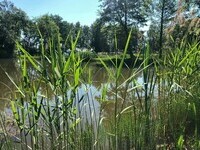 (Bildnachweis: Copyright: Dieter Pache) (Bildnachweis: Copyright: Dieter Pache)