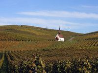 (Bildnachweis: MIt freundlicher Genehmigung der Gemeinde Sasbach, Frau Heike Scheiding-Brode) (Bildnachweis: MIt freundlicher Genehmigung der Gemeinde Sasbach, Frau Heike Scheiding-Brode)